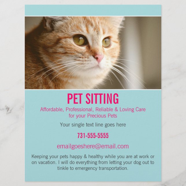 Blue & Pink Foto Pet Sitting Services Flyer 302 (Vorne)