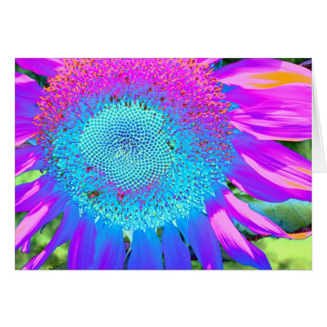 Blue Pink purple Sunflower (Vorderseite (Horizontal))