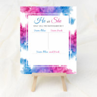 Blue Pink Smoke Twin Baby Gender Offenlegung Absti