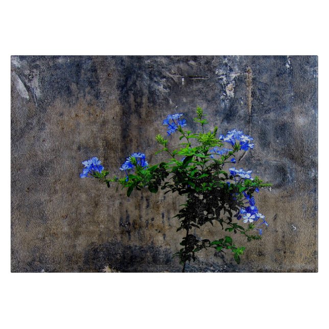 Blue Plumbago Blume Schneidebrett (Vorderseite)
