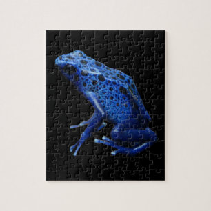 Blue Poison Dart Frog