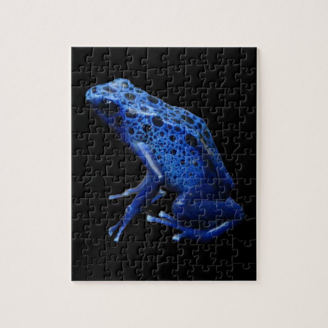 Blue Poison Dart Frog (Vertikal)