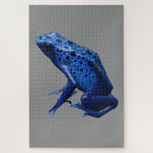 Blue Poison Dart Frog