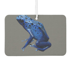 Blue Poison Dart Frog Autolufterfrischer