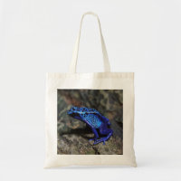 Blue Poison Dart Frog, Bright Blue Frog
