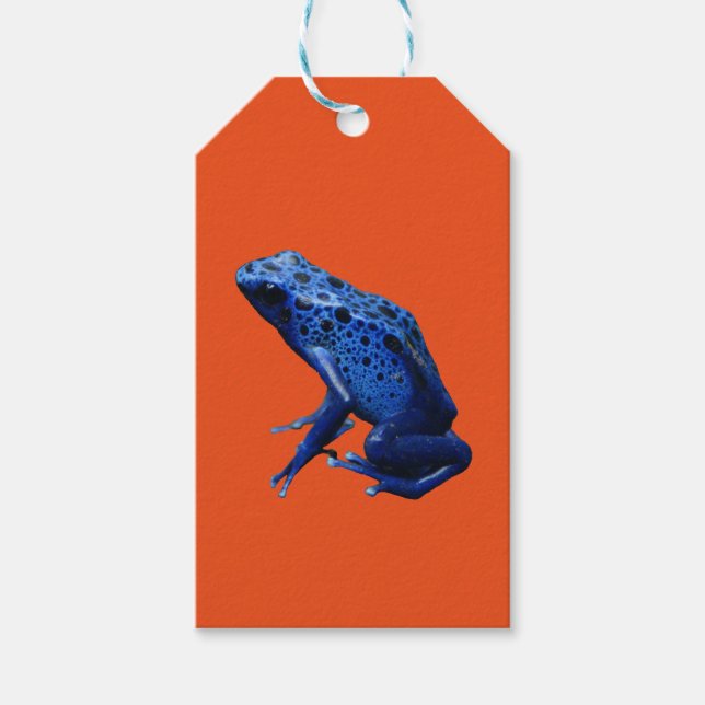 Blue Poison Dart Frog Geschenkanhänger (Vorderseite)