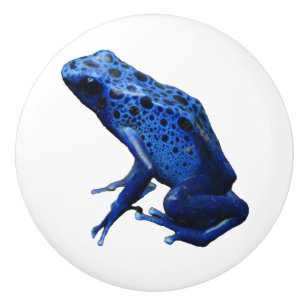 Blue Poison Dart Frog Keramikknauf