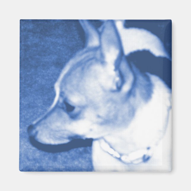Blue Pop Art Chihuahua Magnet (Vorne)