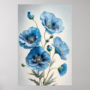 Blue Poppy Blume Art Print Poster