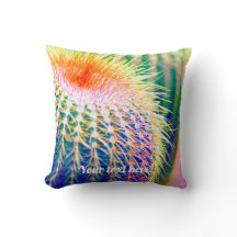 Blue Prickly Cactus Pflanze