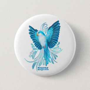 Blue Quaker Parrot Button