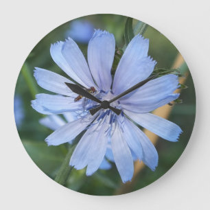 Blue Radicchio Blume N Bee Wall Clock Große Wanduhr