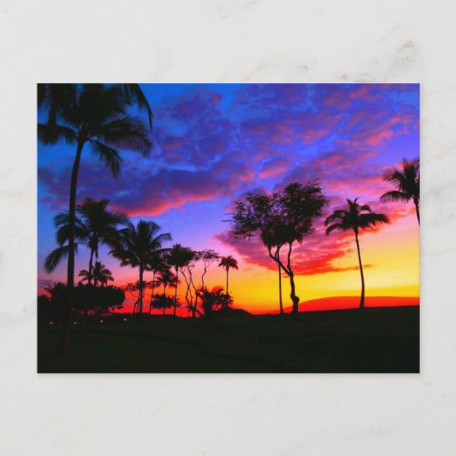 Blue Red Sunset Exotic Hawaiian Beach Palm Bäume Postkarte (Vorderseite)