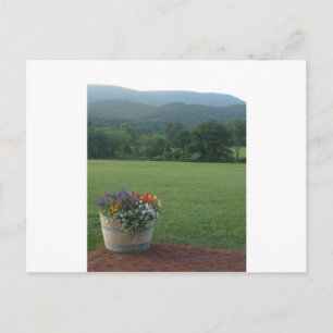 Blue Ridge Blume Postkarte