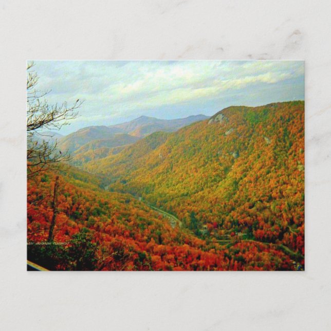 Blue Ridge Mountain Range North Carolina Postkarte (Vorderseite)