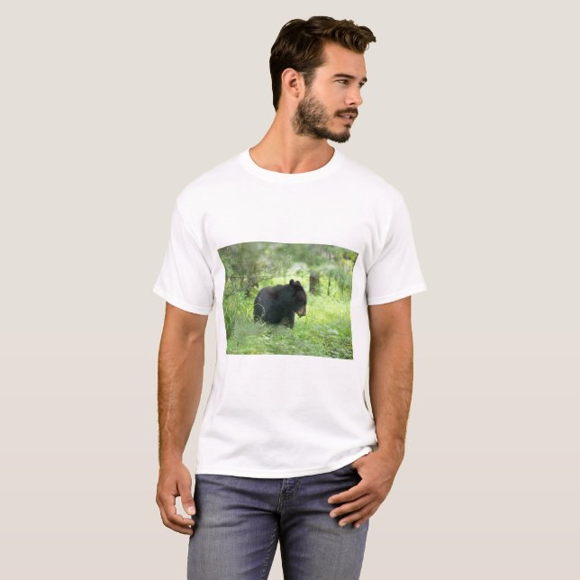 Blue Ridge Parkway - Bär 2 T-Shirt (Vorne ganz)