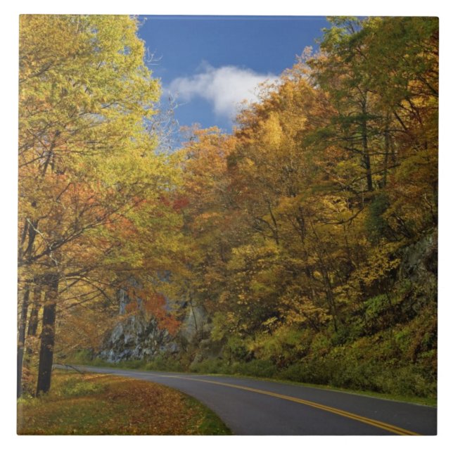 Blue Ridge Parkway, der durch Herbstfarben kurbelt Fliese (Vorderseite)