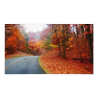 Blue Ridge Parkway Fall #2 Fotodruck