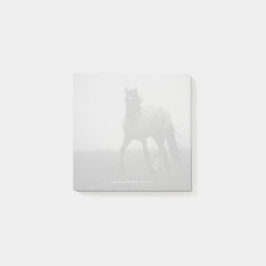Blue Roan Mist - 3" x 3" Notizen