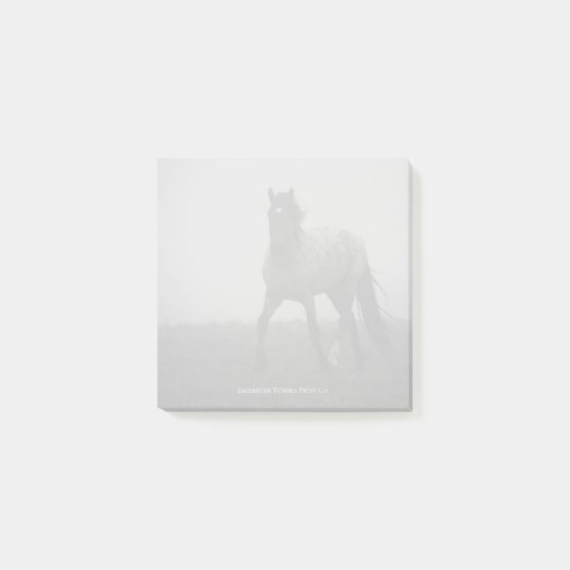 Blue Roan Mist - 3" x 3" Notizen (Vorderseite)