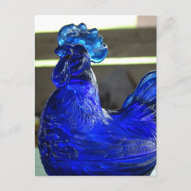 Blue Roo Postkarte (Vorderseite)