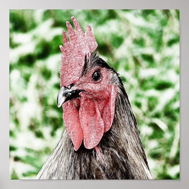 Blue Rooster Digital Art Poster (Vorne)
