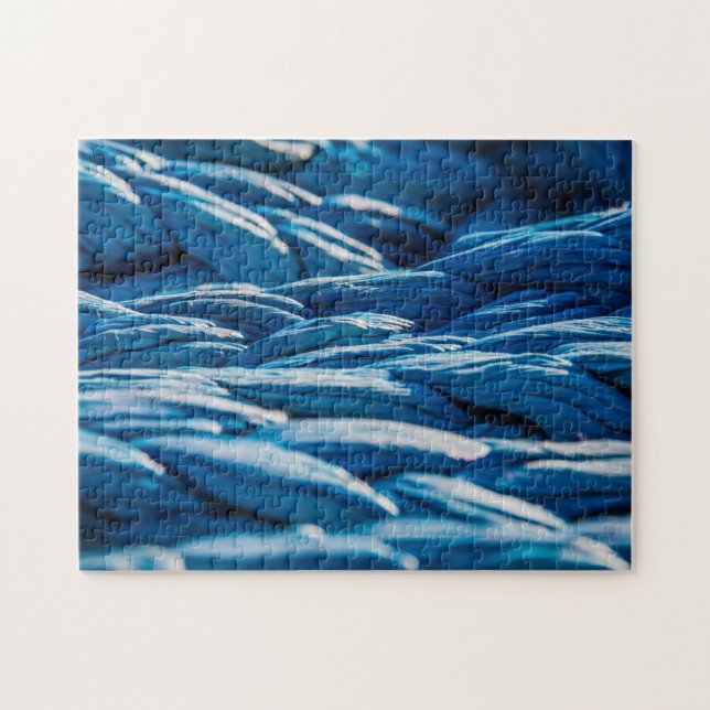 Blue Rope (Horizontal)