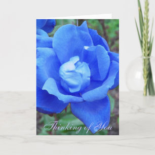 Blue Rose individuell anpassbare Karte