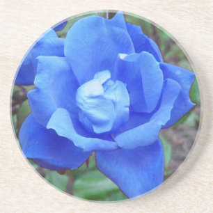 Blue Rose Sandstone Untersetzer