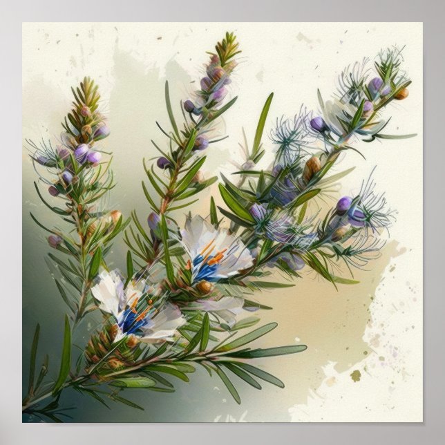 Blue Rosemary Blume Art Print Poster (Vorne)
