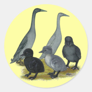 Blue Runner Duck Family Runder Aufkleber