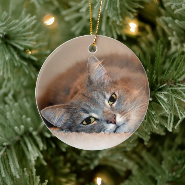 Blue Russian Cat Long Hairs by Shirley Taylor Keramikornament (Baum)