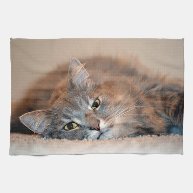 Blue Russian Cat Long Hairs by Shirley Taylor Küchentuch (Horizontal)