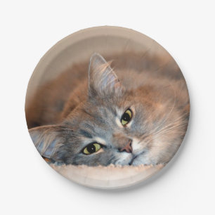 Blue Russian Cat Long Hairs by Shirley Taylor Pappteller