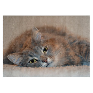 Blue Russian Cat Long Hairs by Shirley Taylor Schneidebrett