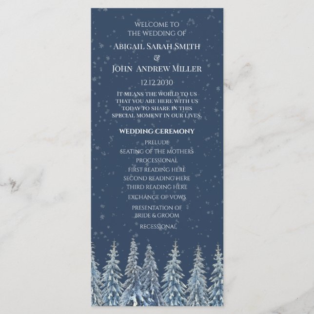 Blue Rustic Winter Forest Wedding Program Programm (Vorderseite)