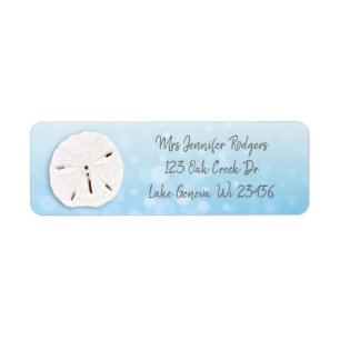 Blue Sand Dollar Beachy