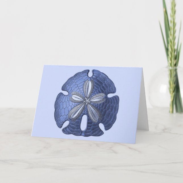 Blue Sand Dollar Karte (Vorderseite)