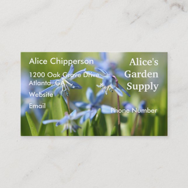 Blue Scilla Business Card Visitenkarte (Vorderseite)