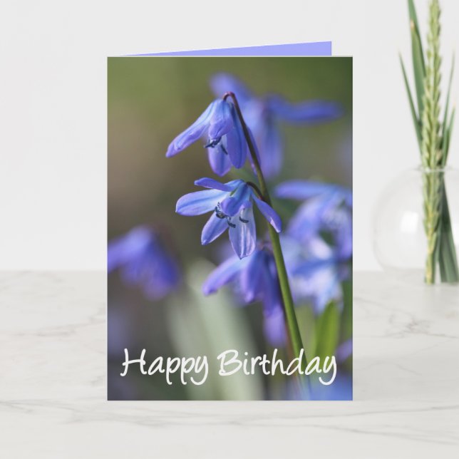 Blue Scilla siberica (Wood Squill) Blume Karte (Vorderseite)