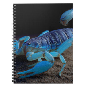 Blue Scorpion Glow Notebook Notizblock