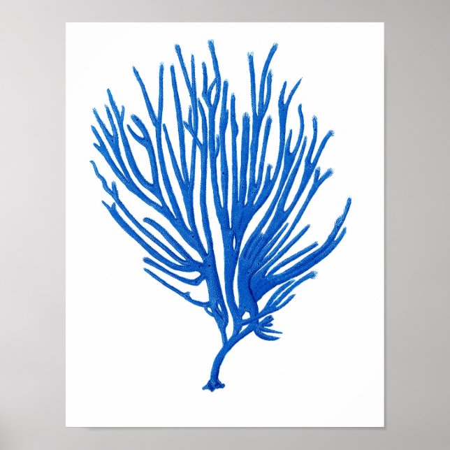 Blue Sea Coral Print #12 Coastal Wall Art Print Poster (Vorne)