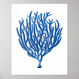 Blue Sea Coral Print #1 Beach Wall Art Poster