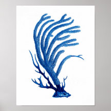 Blue Sea Coral Print #2 Coastal Wall Art Deco