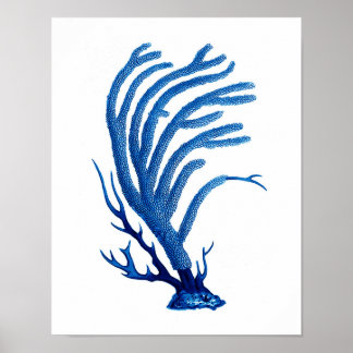 Blue Sea Coral Print #2 Coastal Wall Art Deco Poster