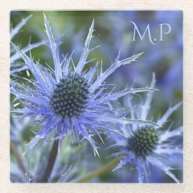 Blue Sea Holly Thistle Monogram Glasuntersetzer (Vorderseite)