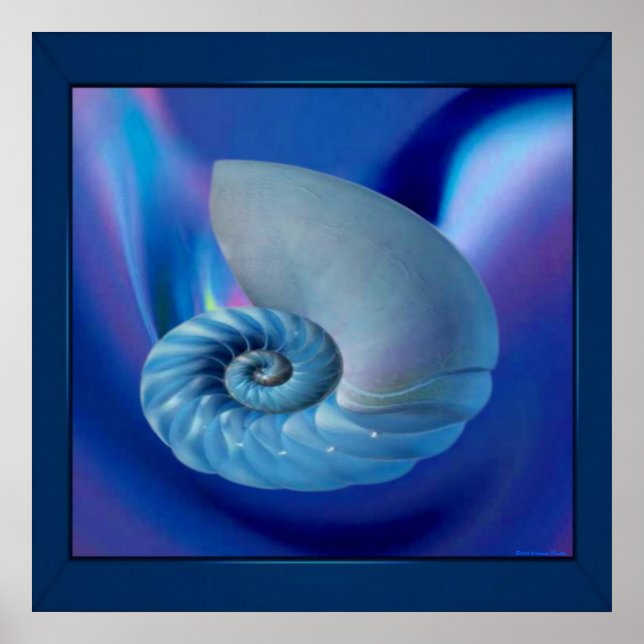 Blue Seashell Print Poster (Vorne)