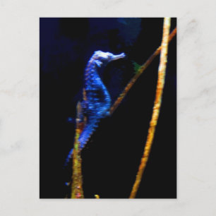 Blue Seepferd CB Postkarte