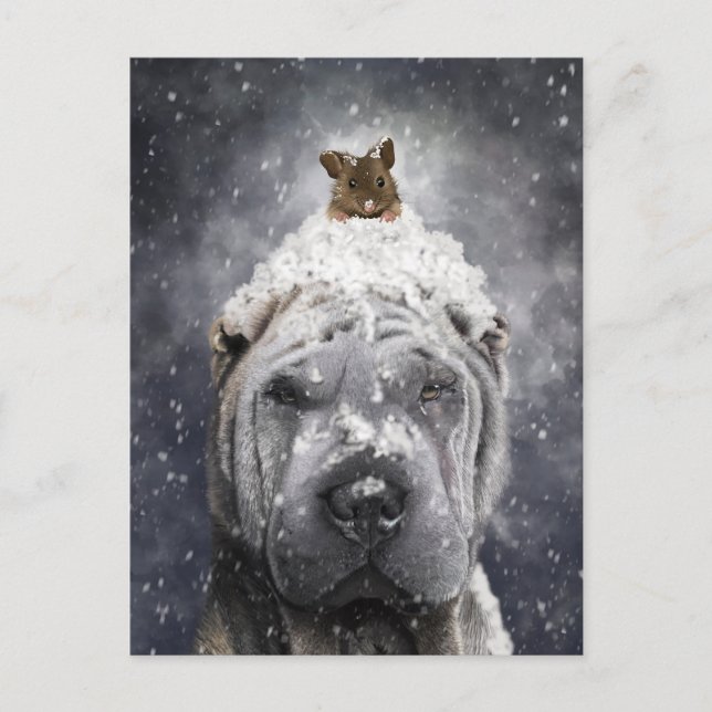 Blue Shar Pei im Schnee mit einer kleinen Maus Postkarte (Vorderseite)