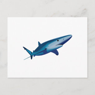BLUE SHARK POSTKARTE